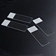 Pathological Study Liquid-Based Cytology Microscope Slides